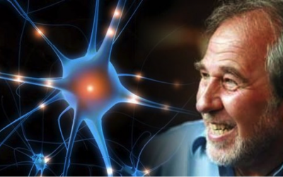 Bruce Lipton, overtuigingen zijn de sleutel naar gezondheid