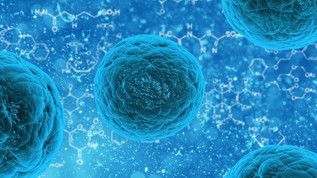 Het eerste geheim van het zelfgenezend vermogen: disfuncties door stress