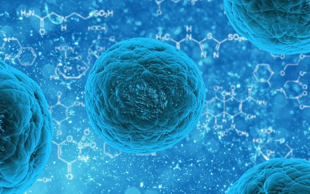 Het eerste geheim van het zelfgenezend vermogen: disfuncties door stress