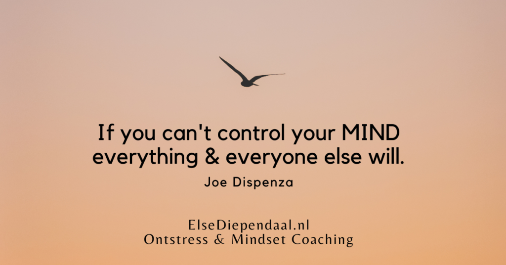 Vergoeding van mijn begeleiding in 2026