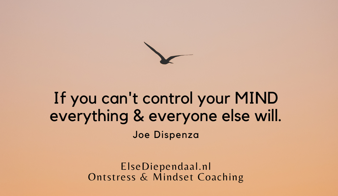 Vergoeding van mijn begeleiding