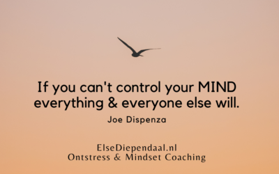 Vergoeding van mijn begeleiding in 2026