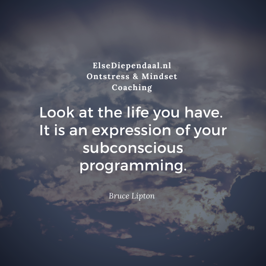 Nieuw gratis Ebook: Programmeer Jezelf
