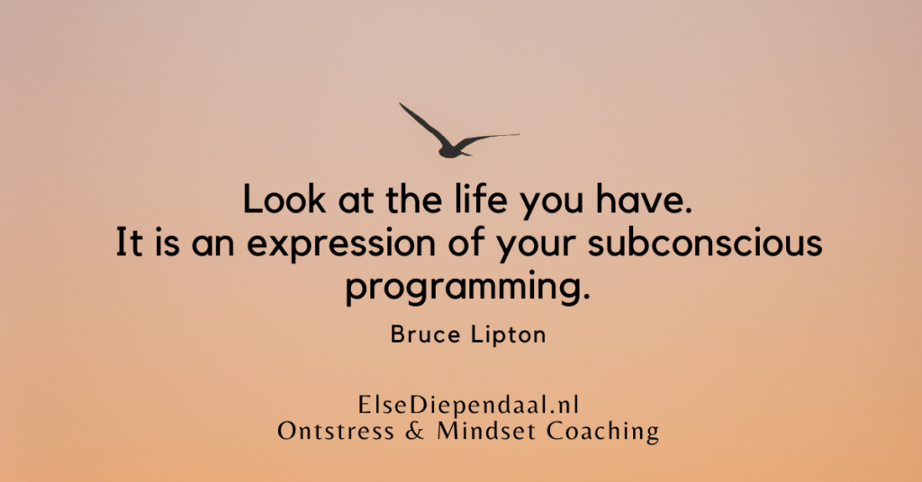 Vernieuwd gratis Ebook: Programmeer Jezelf