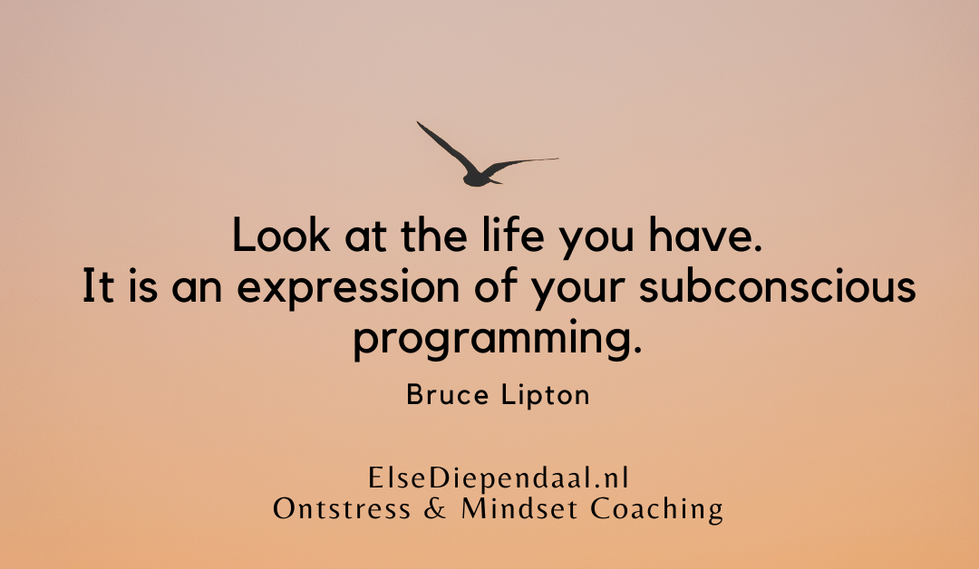 Ebook Programmeer Jezelf