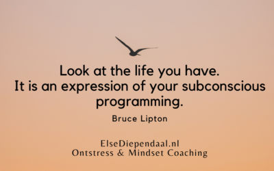 Vernieuwd gratis Ebook: Programmeer Jezelf