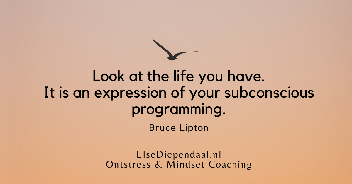 Ebook Programmeer Jezelf