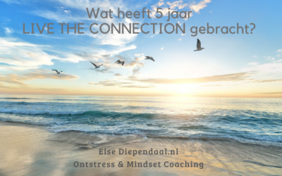 Wat heeft 5 jaar LIVE THE CONNECTION gebracht?