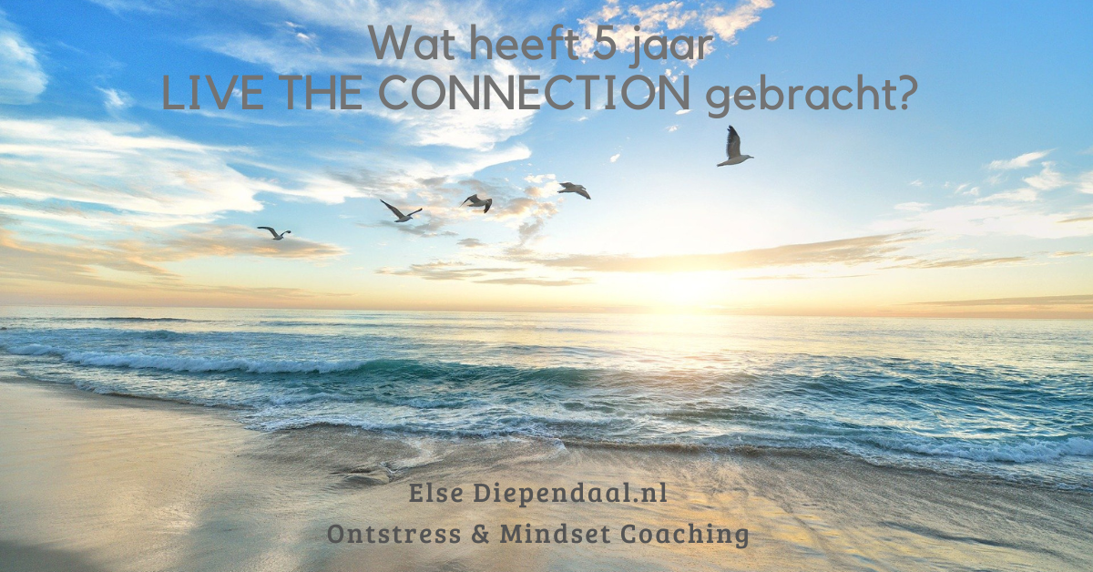 5 jaar LIVE THE CONNECTION