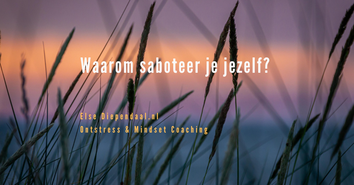 2 Waarom saboteer je jezelf Zelfsabotage