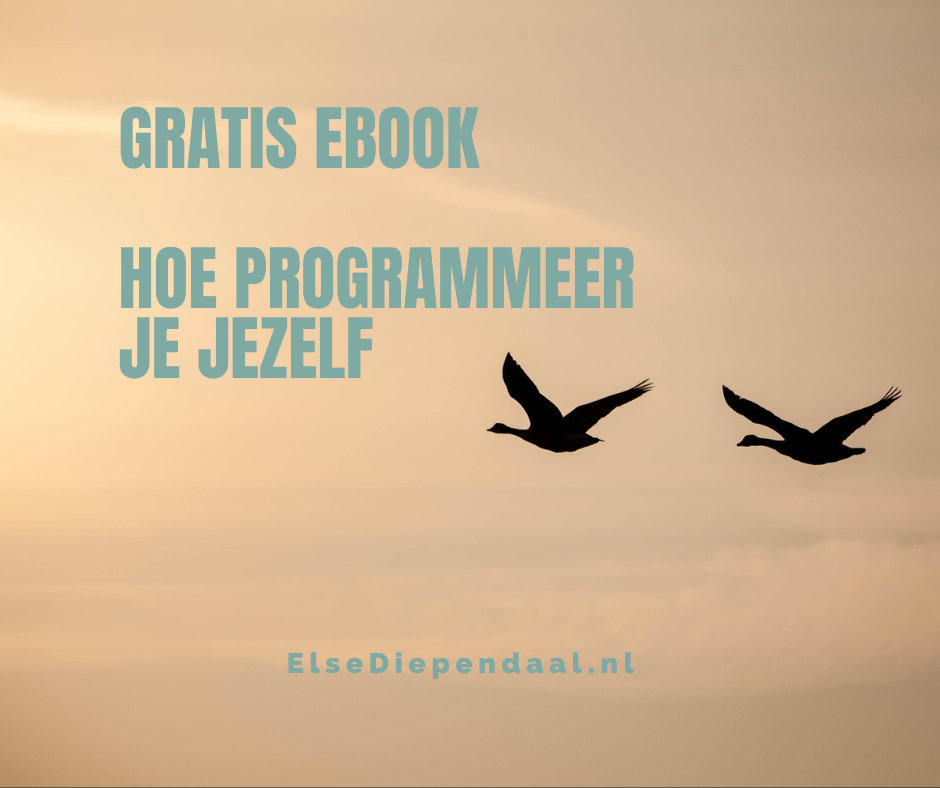 Ebook Hoe Programmeer Je Jezelf