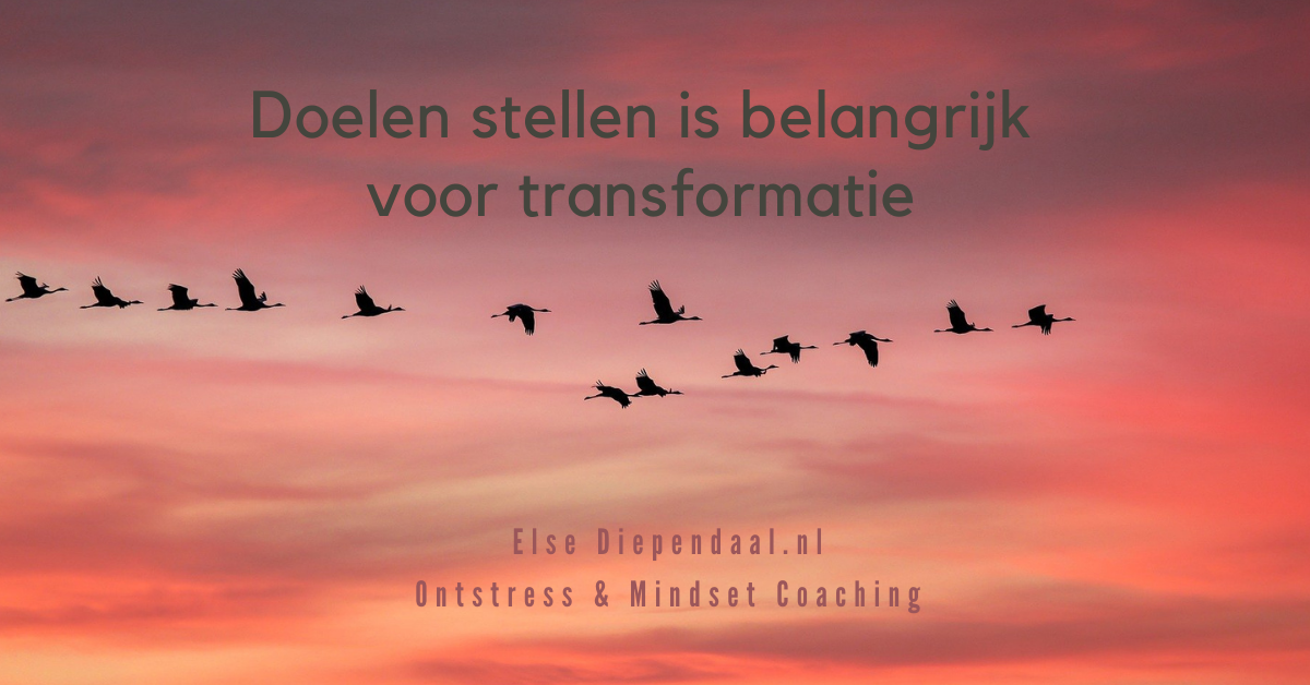 Doelen stellen is belangrijk voor transformatie