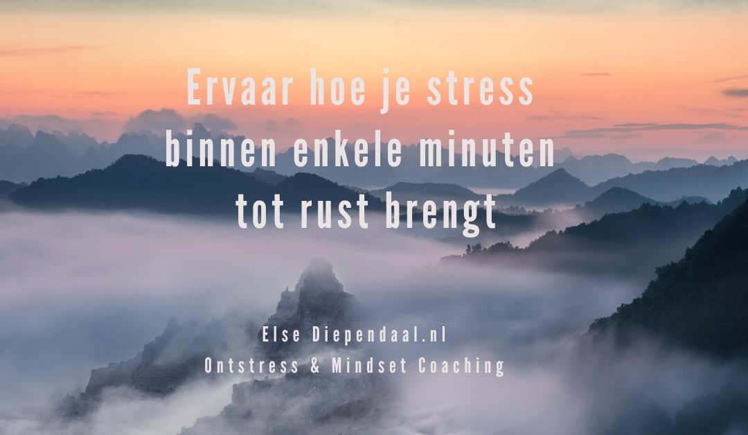 Ontstresssen