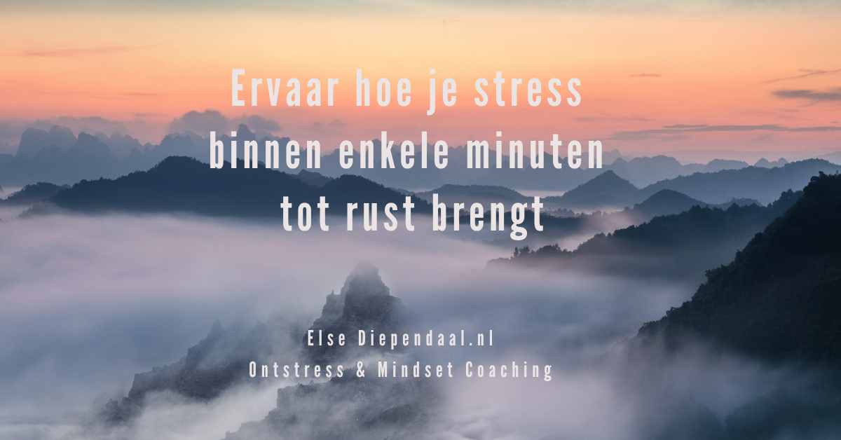 Ervaar hoe je stress binnen enkele minuten tot rust brengt Ontstresssen