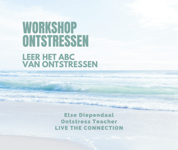 Workshop Ontstressen (met Bonussen: Cursus en Sessie)