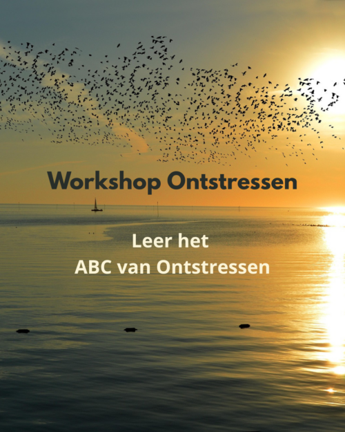 Workshop Ontstressen (met Bonussen: Cursus en Sessie)