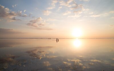 Wat is het verschil tussen LIVE THE CONNECTION en PSYCH-K®?